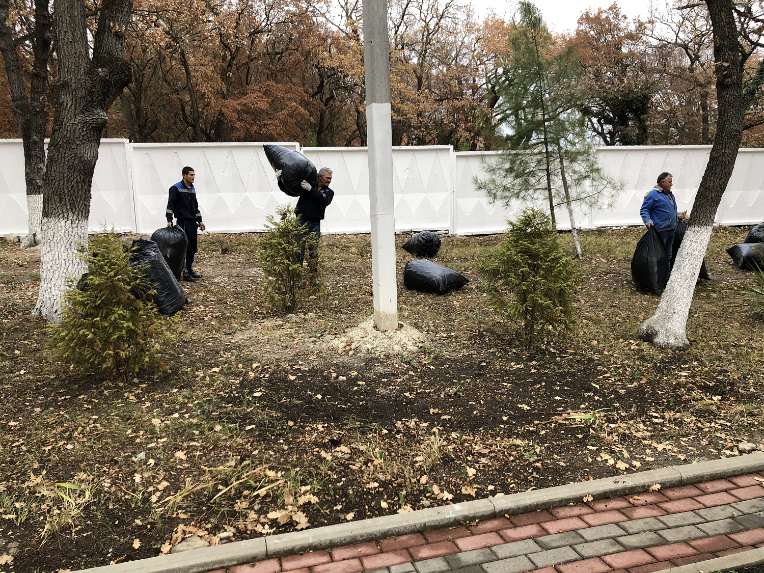 Когда рук много - работа спорится!