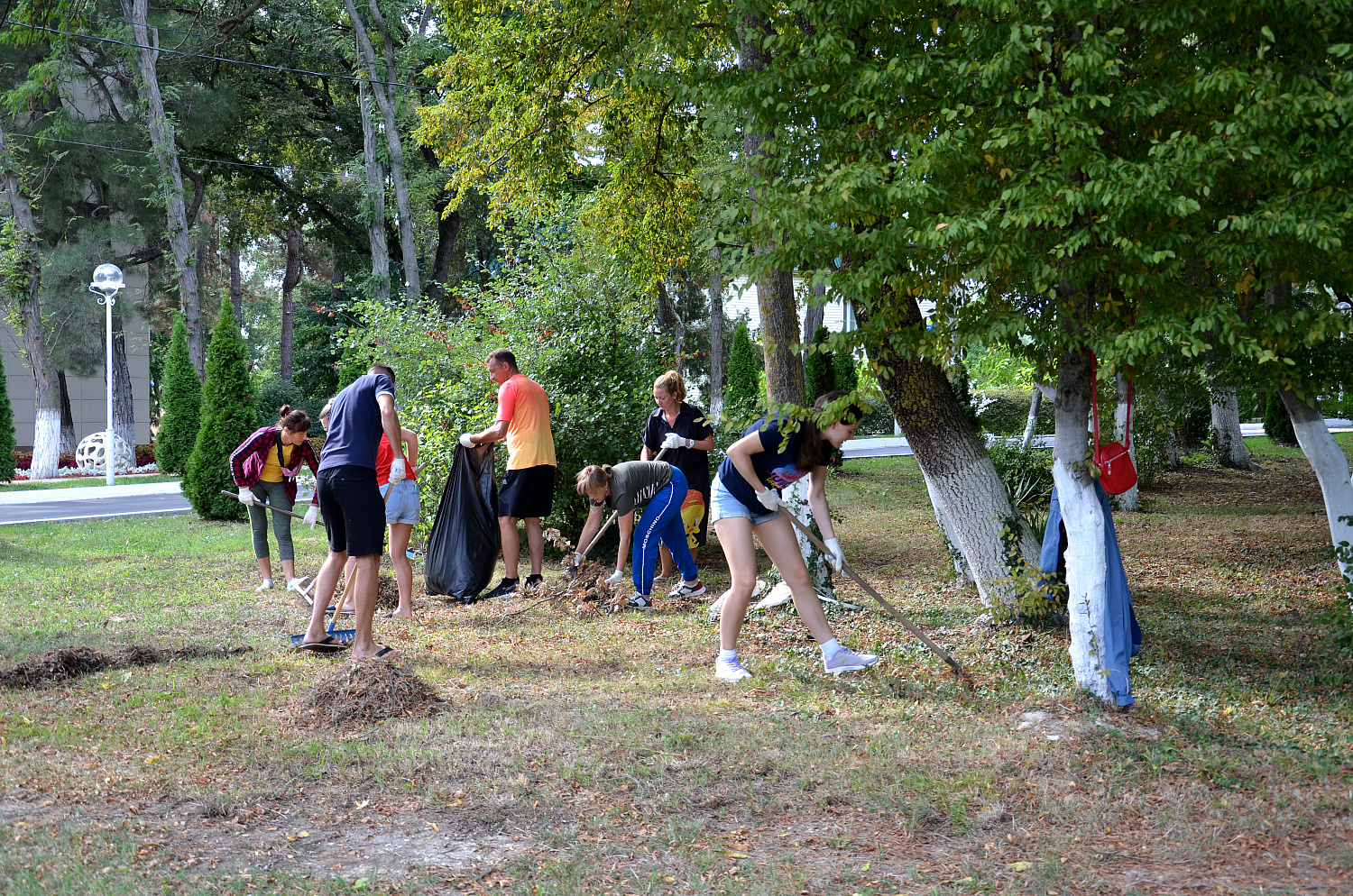 Порядок превыше всего!